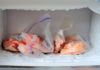 Is it safe to thaw meat after taking it out of the freezer?