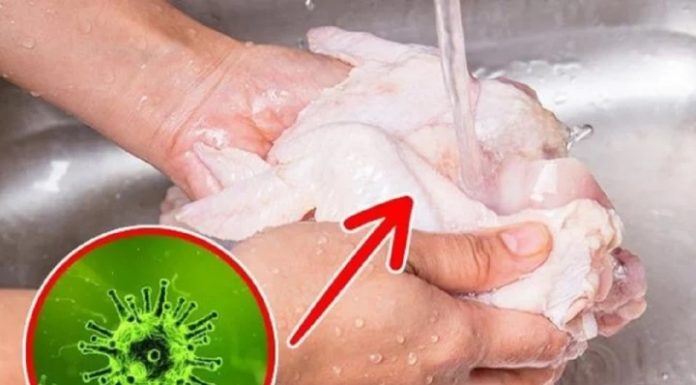 Common Mistakes in Washing Chicken: Not only nutrient loss but also harmful consequences