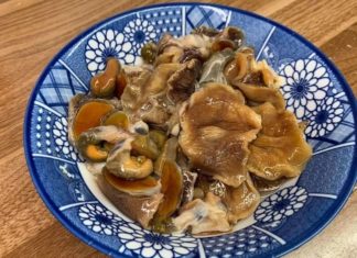 Affordable, Nutritious, and Versatile: The Meat Alternative You Need