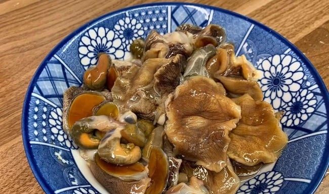 Affordable, Nutritious, and Versatile: The Meat Alternative You Need