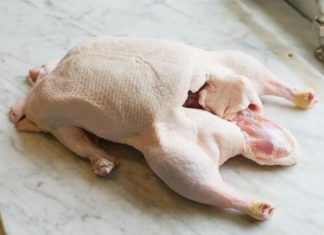 The Ultimate Guide to Duck: Selecting Tender Meat and Preparing a Mouth-watering, Odorless Feast