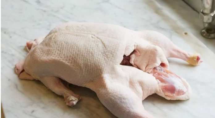 The Ultimate Guide to Duck: Selecting Tender Meat and Preparing a Mouth-watering, Odorless Feast