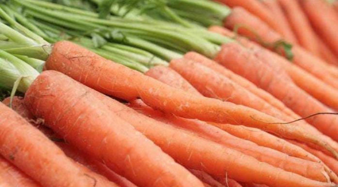 3 Surprisingly Safe Foods, But You Must Avoid These 5 Types Immediately