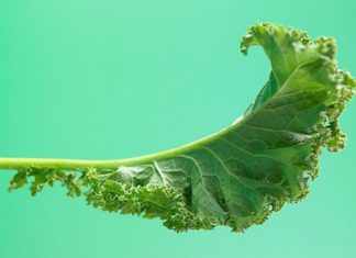 “5 Foods You Need in Your Diet to Improve Your Health Now”