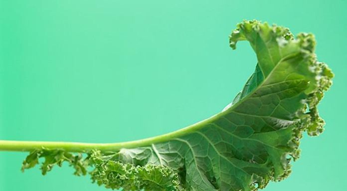 “5 Foods You Need in Your Diet to Improve Your Health Now”