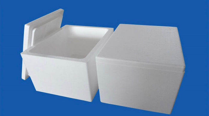 Tips for Keeping Food Fresh with a Foam Cooler