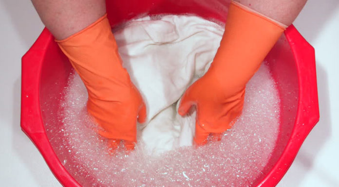 Tips on Eliminating Mold Stains from Clothing