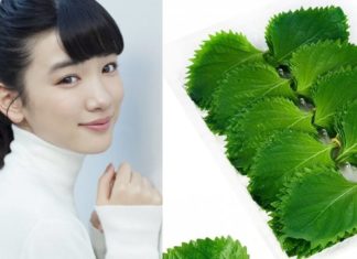 Discover the beauty benefits of basil leaves, from drinking water to face masks, all of them promote healthy and glowing skin.