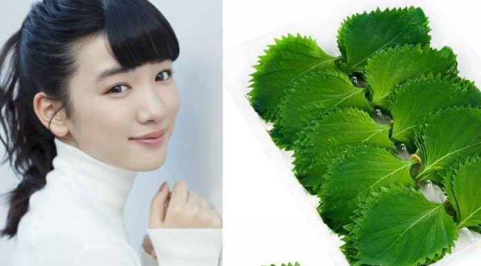 Discover the beauty benefits of basil leaves, from drinking water to face masks, all of them promote healthy and glowing skin.