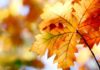 Understanding the Significance of the Autumn Equinox in 2023
