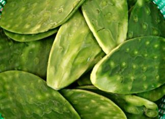 Unveil the Unique Flavorful Produce of the Central Region