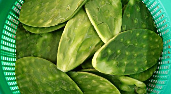 Unveil the Unique Flavorful Produce of the Central Region