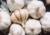 Secrets to Keeping Garlic Fresh for Months Without Spoiling