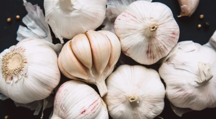 Secrets to Keeping Garlic Fresh for Months Without Spoiling