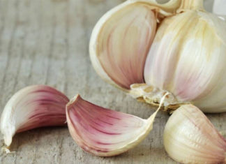 What not to eat with garlic: 5 types of food to avoid consuming together that may be harmful