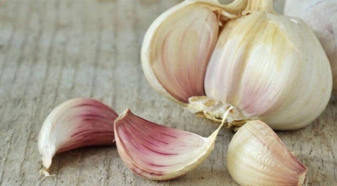 What not to eat with garlic: 5 types of food to avoid consuming together that may be harmful