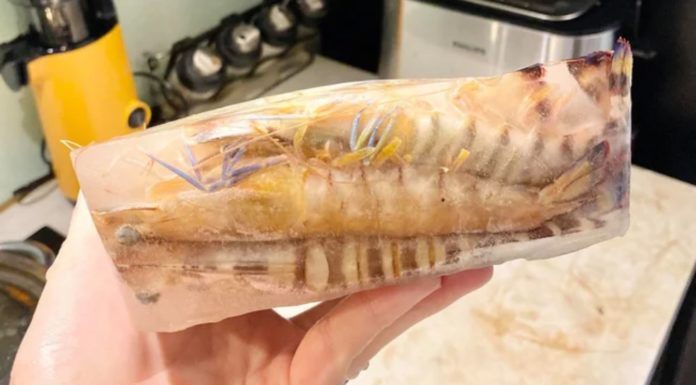How to Store Shrimps to Keep Them Fresh and Delicious for a Month