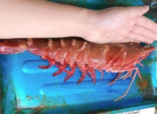 The Cost of Giant Prawns Prohibiting Purchase for Certain Customers