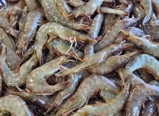 How to make a delicious mixed stir-fried shrimp in just 15 minutes for a cozy dinner on a cold day