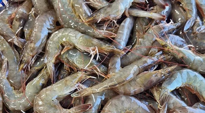 How to make a delicious mixed stir-fried shrimp in just 15 minutes for a cozy dinner on a cold day