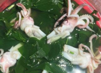 7 Delicious Squid Beard-Based Meals to Please the Whole Family