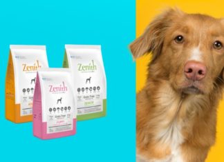 3 Best Zenith Dog Foods for All Ages: An Expert’s Choice