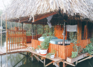 View of Top Homestay Binh Chanh “Extraordinary” Enough to Satisfy Your Virtual Living Desires