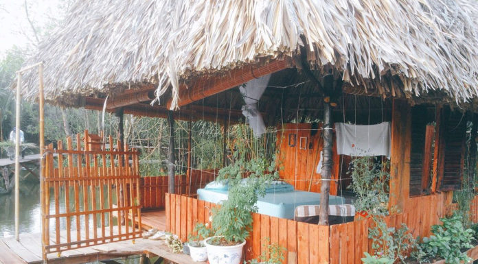 View of Top Homestay Binh Chanh “Extraordinary” Enough to Satisfy Your Virtual Living Desires