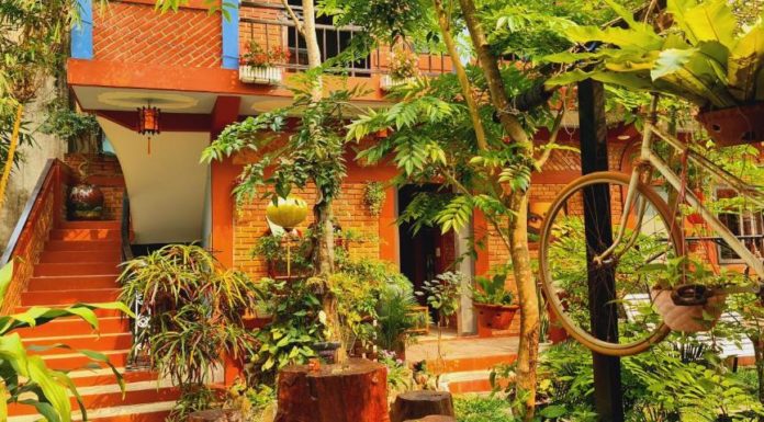 Thousands of Photos Captured with Amazing View of Quang Binh Homestay