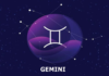 Gemini-Perfect Gifts for the Physically & Intellectually Engaged