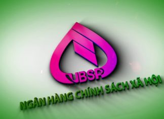 How to Lookup Social Policy Bank Loans? Detailed Guide on 4 Methods