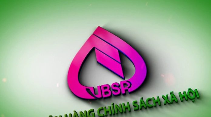 How to Lookup Social Policy Bank Loans? Detailed Guide on 4 Methods