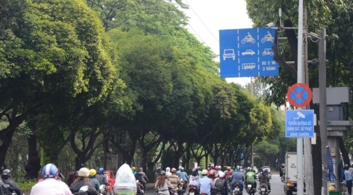 Simple, Fast, and Accurate Guide to Checking Traffic Fines in Ho Chi Minh City 2024