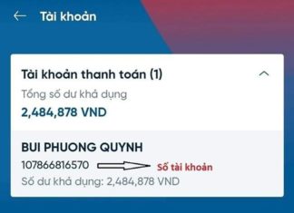 5 Simple and Fast Ways to Check Your Vietinbank Account Number