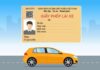 Simple and Quick Guide to Look Up Driver’s License by ID Card at Home