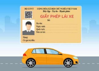 Simple and Quick Guide to Look Up Driver’s License by ID Card at Home
