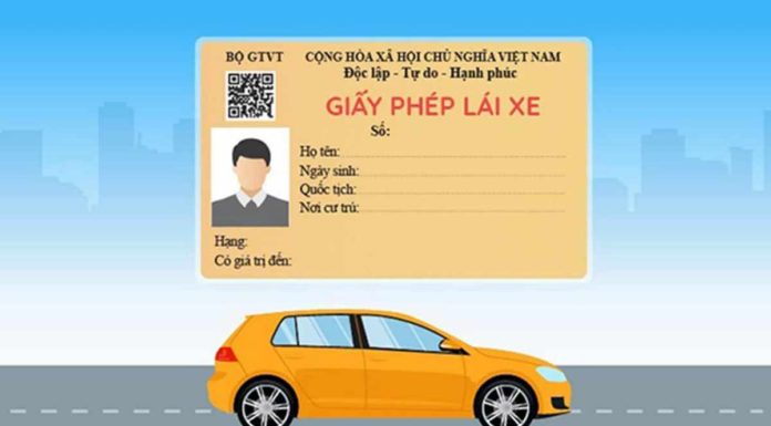 Simple and Quick Guide to Look Up Driver’s License by ID Card at Home
