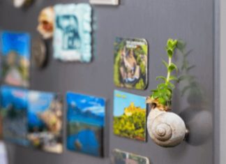 Investigating if Refrigerators Can Be Decorated with Magnets