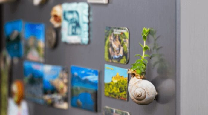 Investigating if Refrigerators Can Be Decorated with Magnets