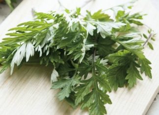 Home Remedies for Removing Dark Circles Under Eyes