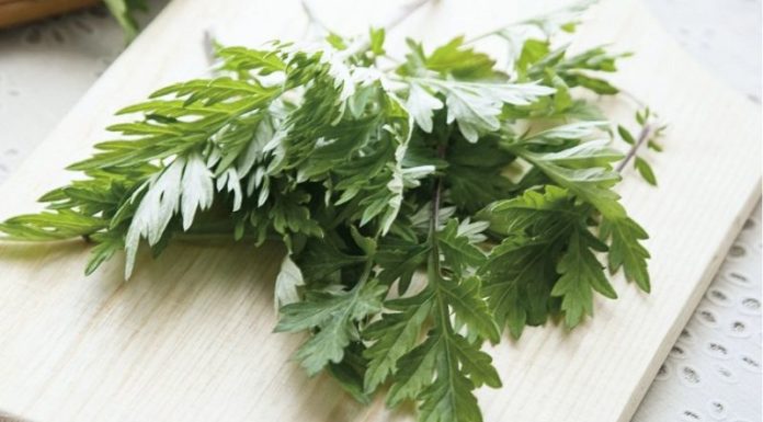 Home Remedies for Removing Dark Circles Under Eyes