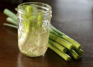 Growing Green Onions at Home: 2 Easy Methods for Clean & Beautiful Veggies