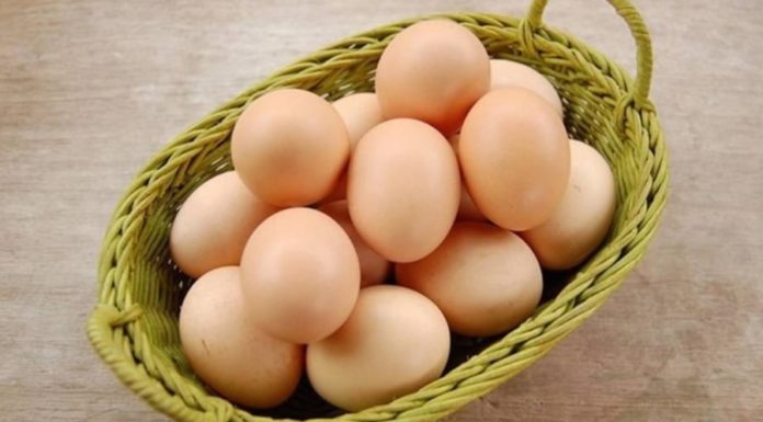 Did you know that putting eggs in the refrigerator door is the wrong way to store them? Here is the best way to preserve eggs.