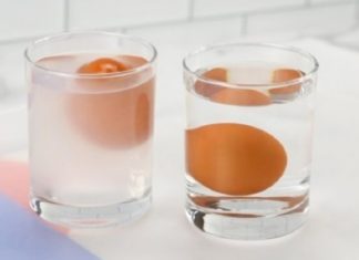 Simple Ways to Differentiate Fresh and Old Chicken Eggs
