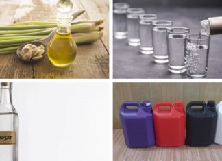 DIY Mosquito Repellent & Odor-Fighting Floor Cleaner Made with Lemongrass, Ginger, and Cinnamon