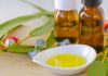 DIY Eucalyptus Oil: A Natural Way to Add Scent and Keep Away Mosquitoes