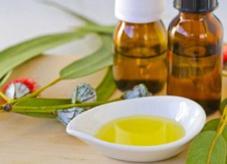 DIY Eucalyptus Oil: A Natural Way to Add Scent and Keep Away Mosquitoes