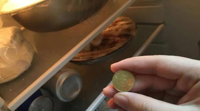 Smart people will put a coin in the fridge before Tet holiday, know the reason I followed suit.