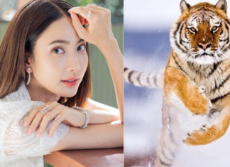 3 Days in Late February: A 4-year-old Overcomes Challenges, Encounters Good Fortune in Wealth, Love, and Fame