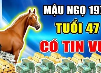 New Year’s Eve: A 3-Year-Old Receives a Life-Changing Fortune, Transforms into a Dragon, and Brings Home Millions of Dollars